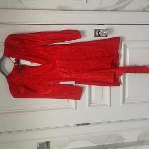 Ronny Kobo Red Silk Dress